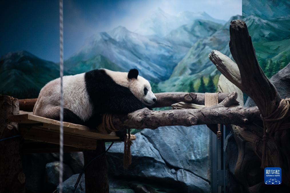 澳门威斯尼斯人是什么