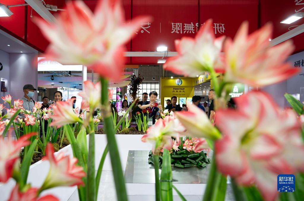 菲律宾宝盈公司